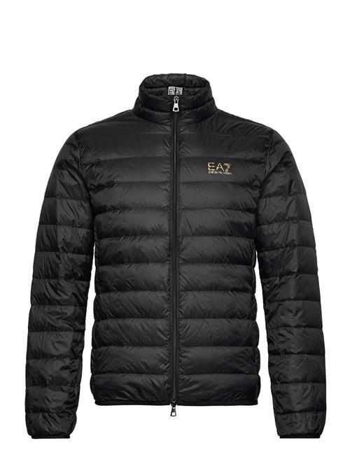 EA7 | Down Jacket | S