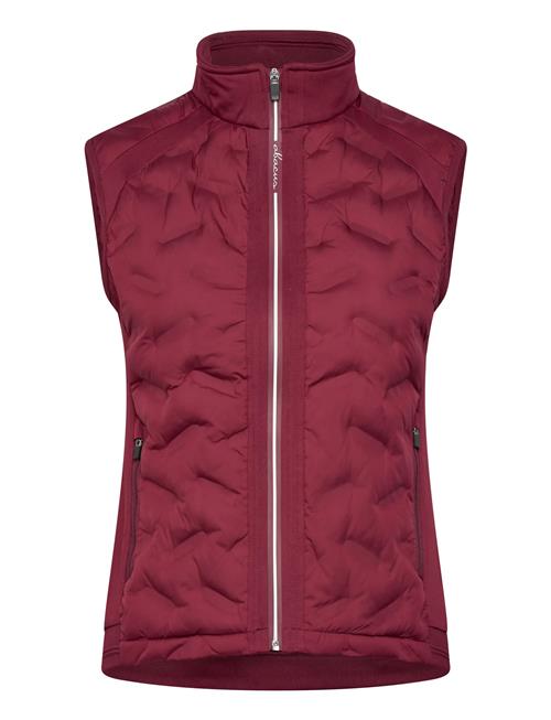 Abacus | Lds Portrush Hybrid Vest | XS