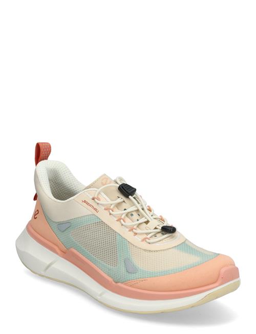 ECCO | Biom 2.2 W | 36