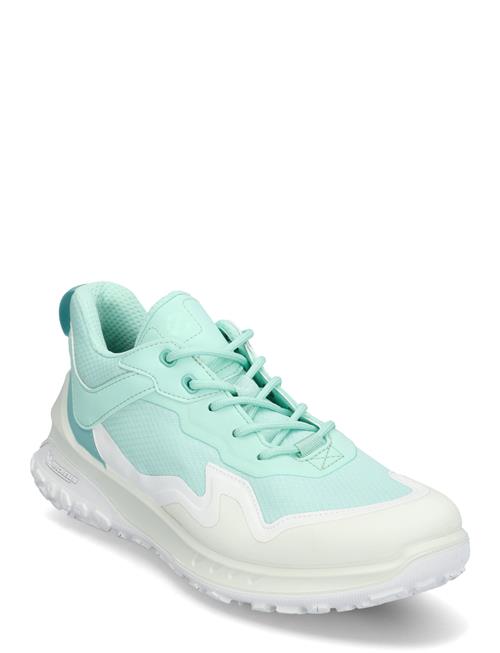 ECCO | Ult-Trn W | 37