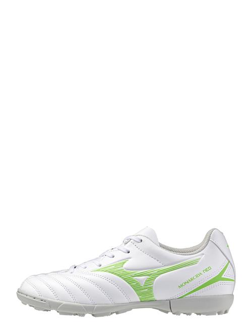 Mizuno | Monarcida Neo Iii Sct Jr As(C) | 37