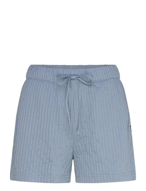 VANS | Bedford Knit Short | S