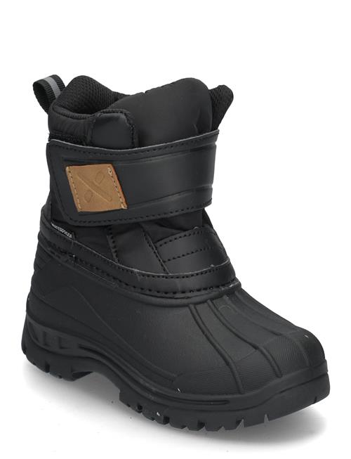 Exani | Winter K | 26-16.9CM