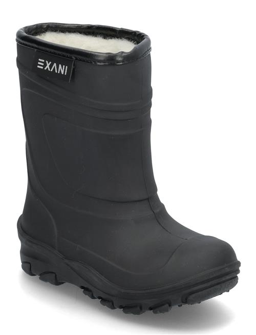 Exani | Ted K | 24-15.6CM