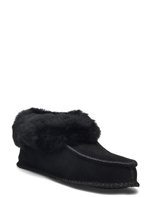 Exani | Solex Jr | 31-20.2CM