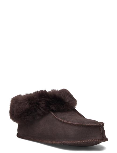 Exani | Solex Jr | 29-18.9CM