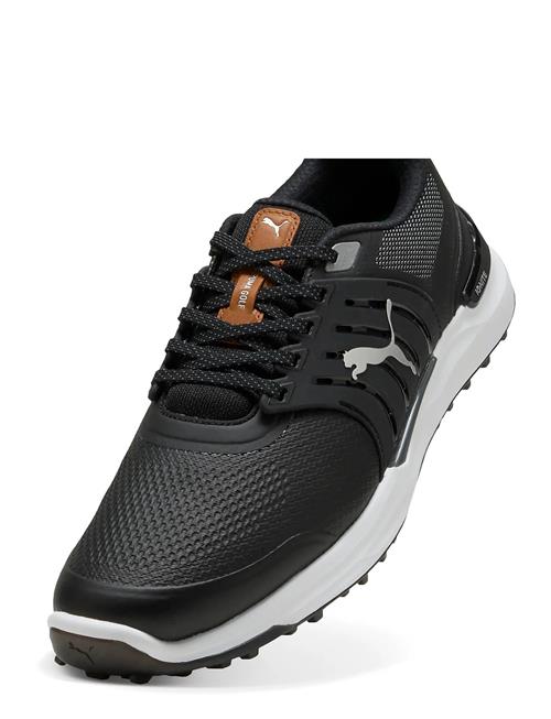 PUMA Golf | Ignite Elevate 2 | 42
