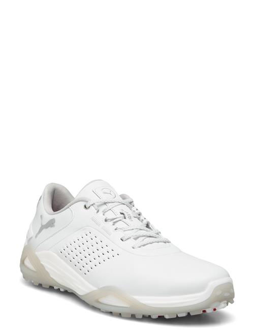 PUMA Golf | Shadowcat Nitro Leather | 45