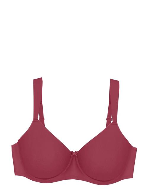 Triumph | Essential Minimizer T W X | C x 70