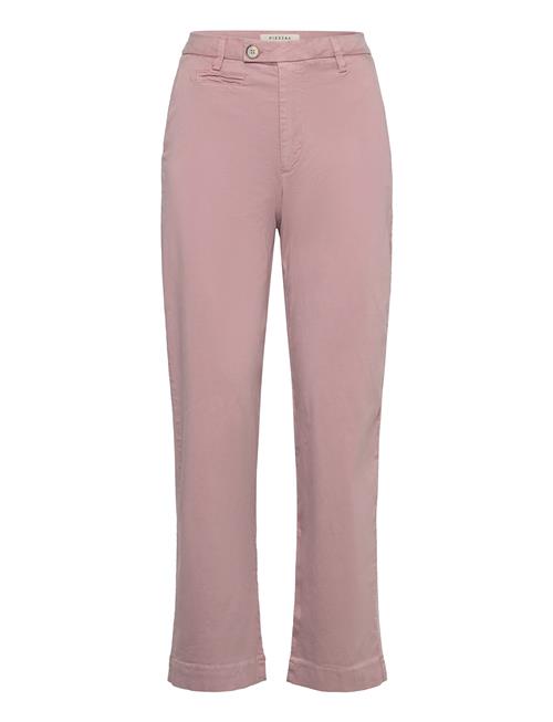 Pieszak | Pd-Anika Support Weekend Chino | 26 x 32