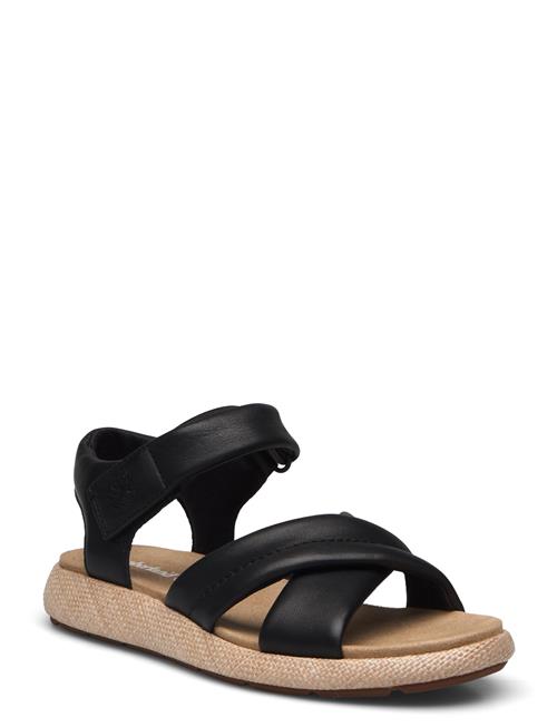 Timberland | Backstrap Sandal | 38