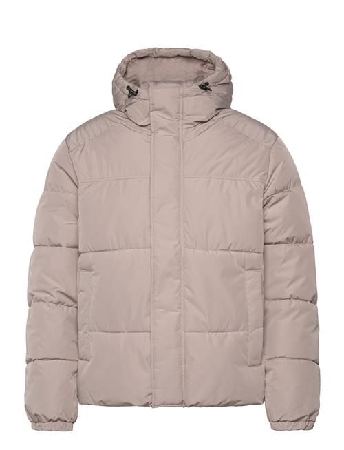 Jack & Jones | Jjebradley Puffer Hood Sn | L