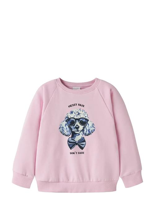 name it | Nmfvenus Ls Nreg Sweat Bru | 92