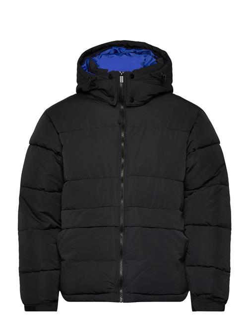 SIXTH JUNE | Essentiel Puff Printed Downjkt | M