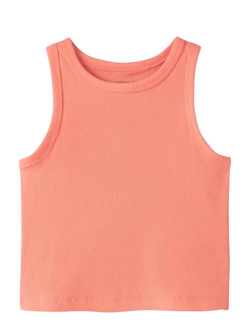 name it | Nkfnakal Sl Crop Top Noos | 134-140