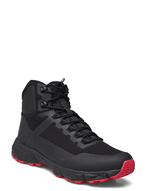 Exani | Cole Hi M | 41