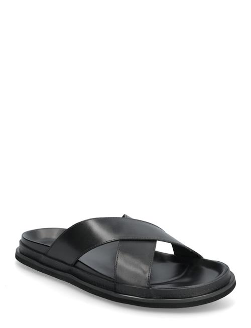 Matinique | Masan | 41