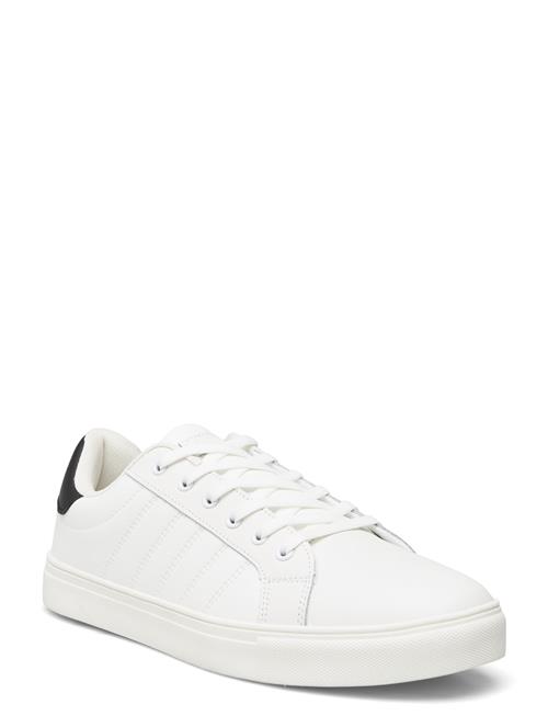 Exani | Percy M | 45