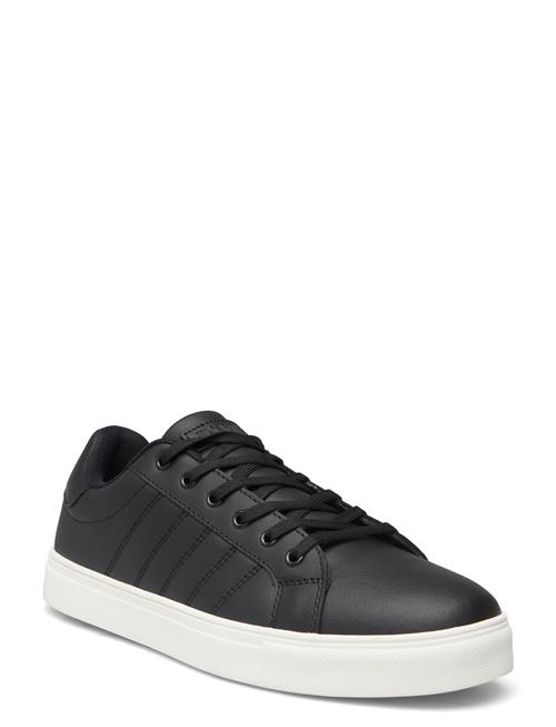 Exani | Percy M | 45