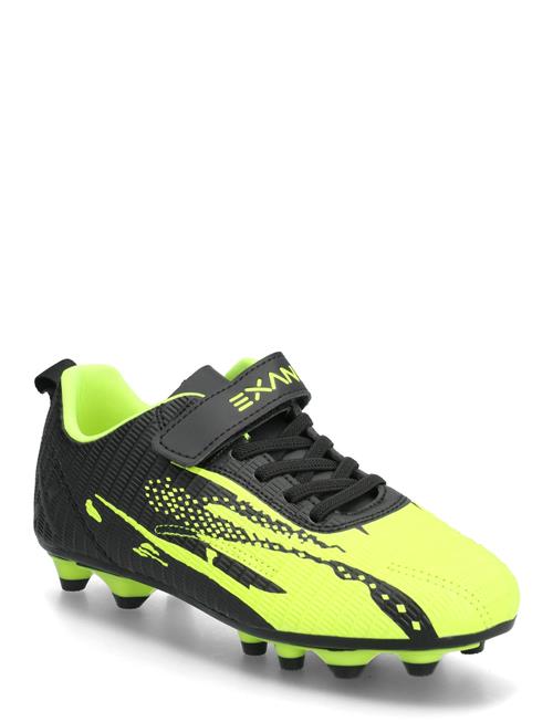 Exani | Matrix Jr | 29