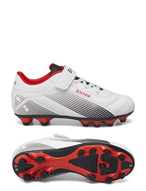 Exani | Matrix Jr | 34