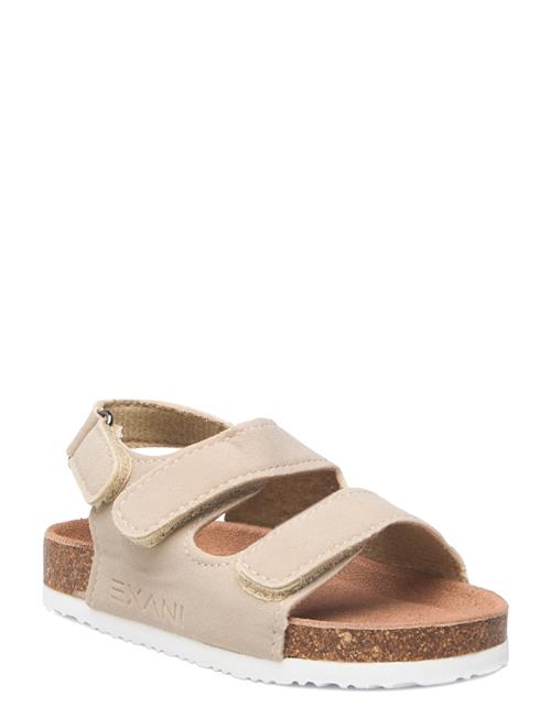 Exani | Spectra K | 25