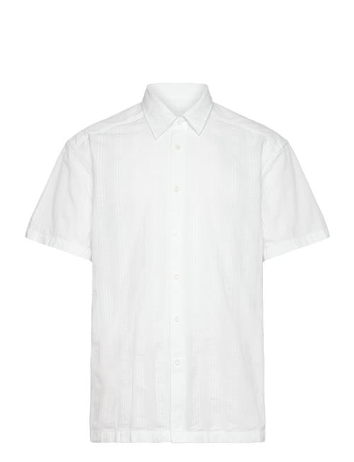 BOSS | C-Cory-Sh-252 | L