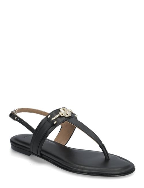 BOSS | Emberlyn_Thng10_Vchb | 41