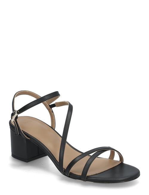 BOSS | Emberlyn_San50_Vc | 37