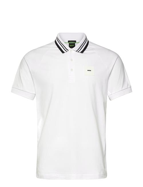 BOSS | Paddy Rib | S