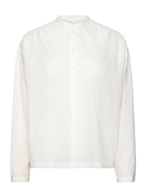 BOSS | C_Bizzan | 32