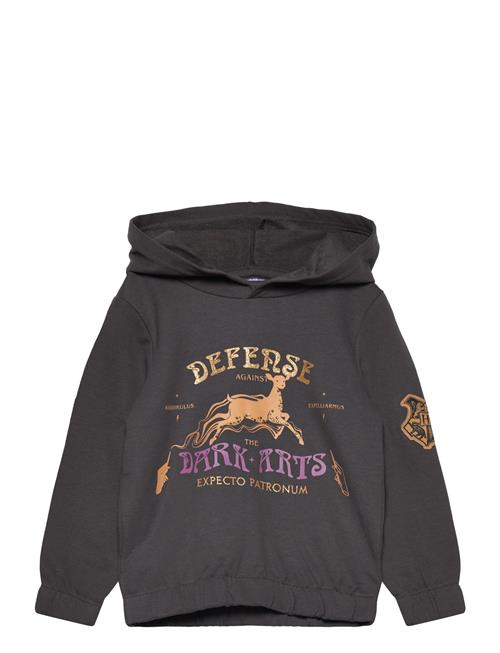 Harry Potter | Sweats | 104