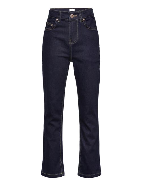 Grunt | Grrebel Raw Blue | 134