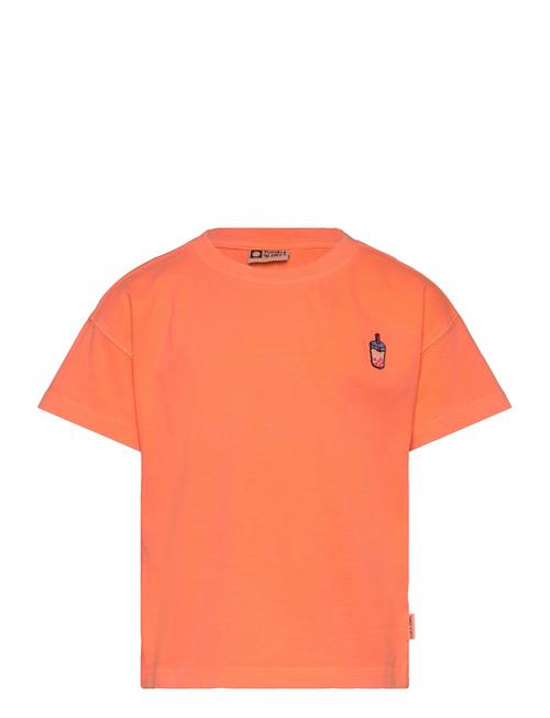 TUMBLE 'N DRY | Tnd Rouen | 92