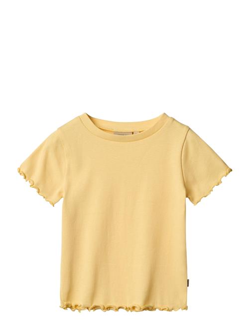 Wheat | Rib T-Shirt S/S Alicia | 116