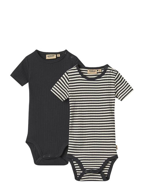 Wheat | 2 Rib Body S/S Timo | 68