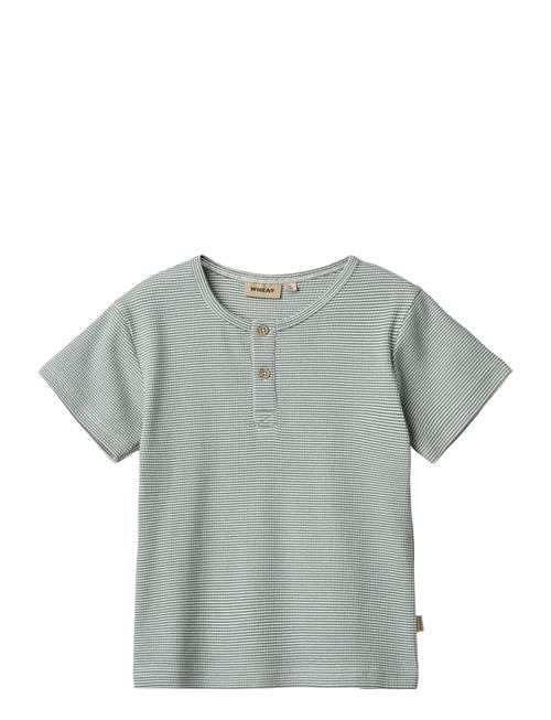 Wheat | T-Shirt S/S Lumi | 104