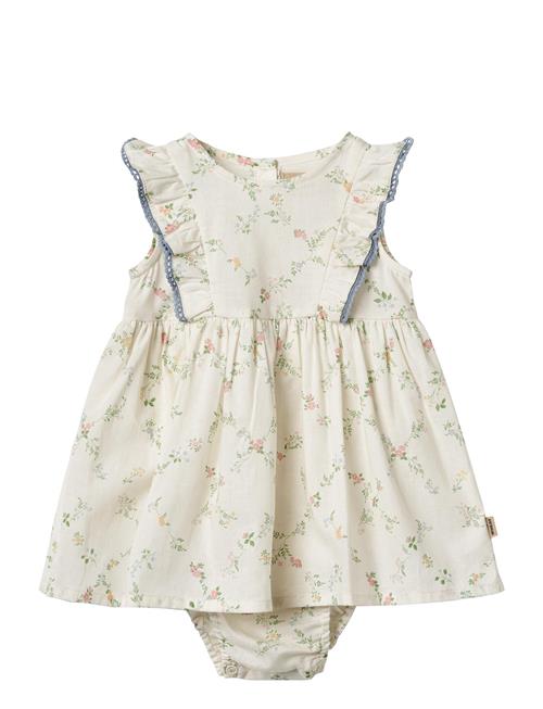 Wheat | Dress Suit Lace Sofia | 74