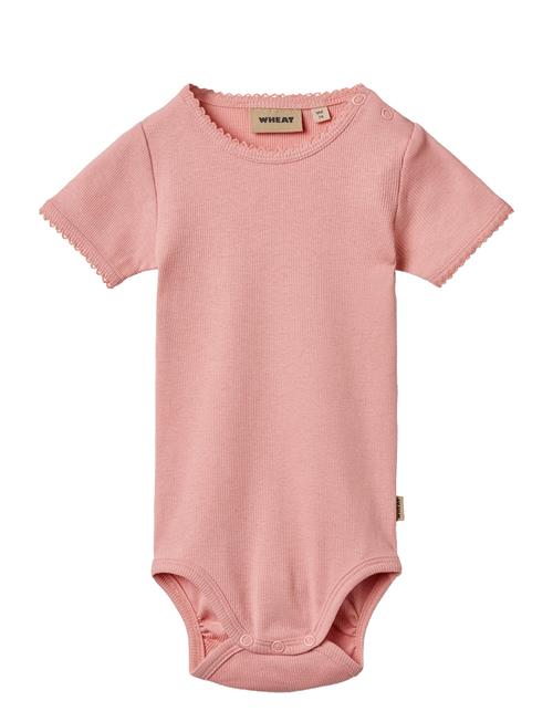 Wheat | Rib Body S/S Lace Elisa | 68