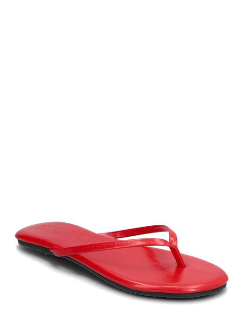 Bianco | Biamexico Flip Flop Faux Leather | 41