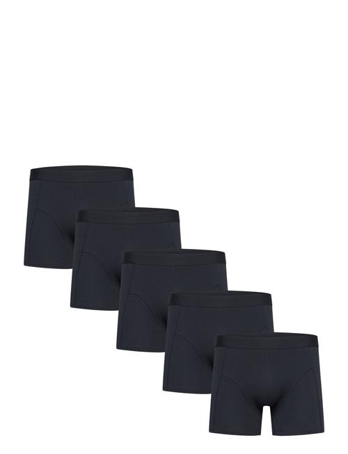 Shine Original | 5 Pack Tights | L