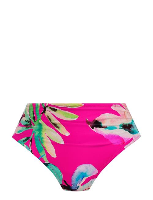 Fantasie | Carabelita | L