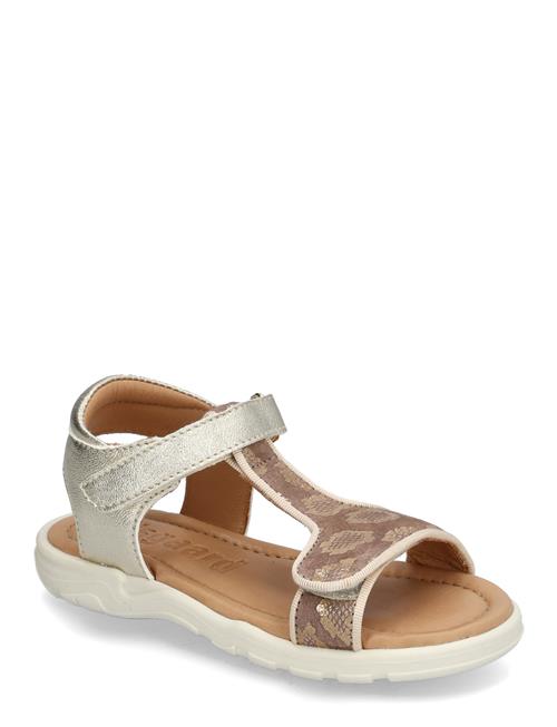 Bisgaard | Bisgaard Vilde | 29