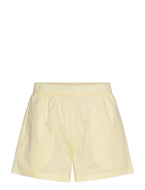 2NDDAY | 2Nd Ray - Poplin | 32