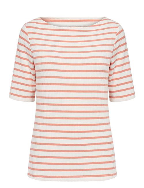 Soyaconcept | Sc-Kaiza | S