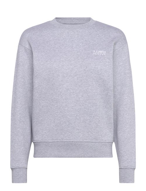 7 DAYS Active | Organic Fitted Crewneck | M