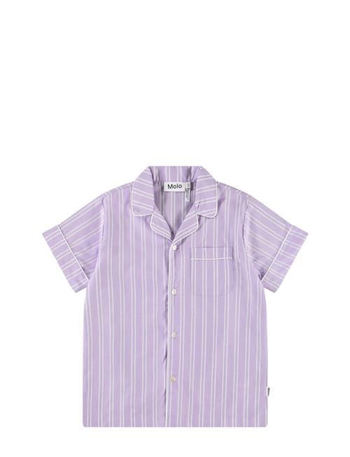 Molo | Rara | 110/116