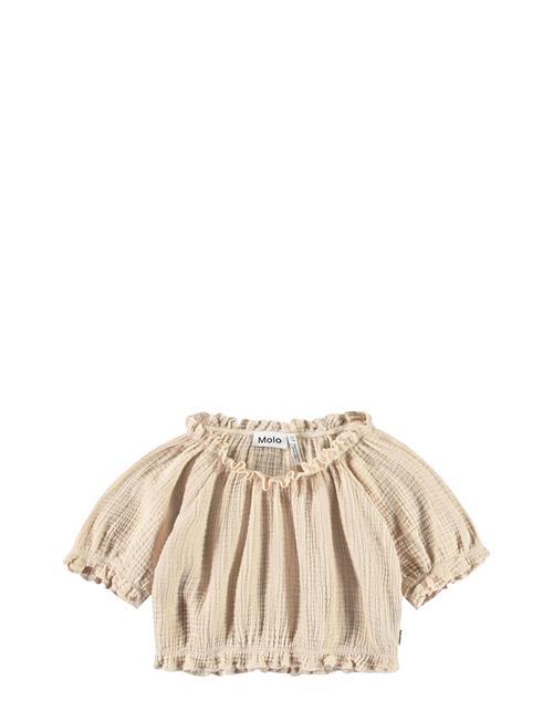 Molo | Rafaela | 110/116