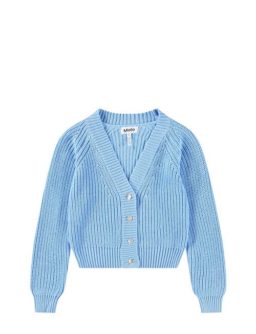 Molo | Gilberta | 92/98