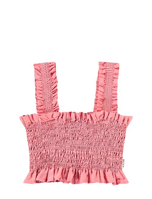 Molo | Rolfia | 146/152